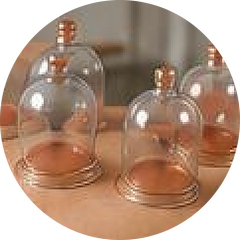 Cupping